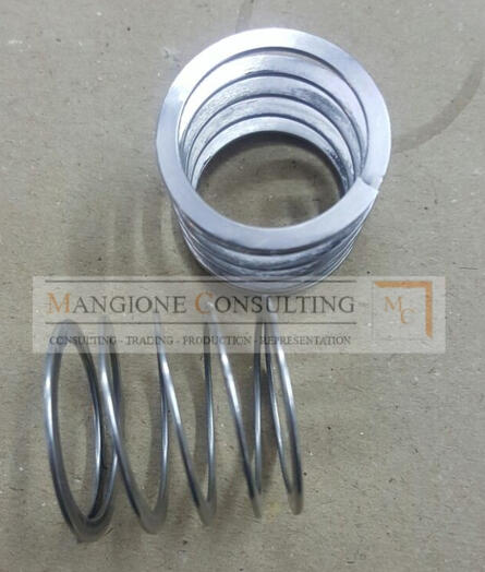 Valvespring Flatspring Ventilfeder Ventilflachfeder Valvespring Flatspring Ventilfeder Ventilflachfeder
