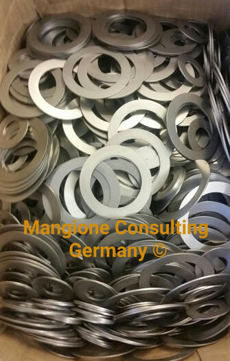 Ventilringe Ventilplatte Mangione Consulting