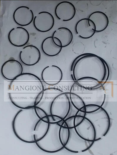 Kolbenringe Piston Rings Mangione Consulting