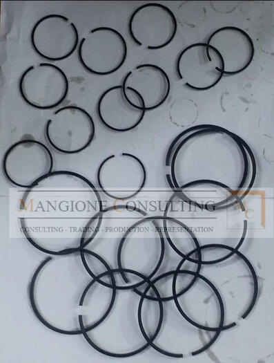 Kolbenringe Piston Rings Mangione Consulting Kolbenringe Piston Rings Mangione Consulting