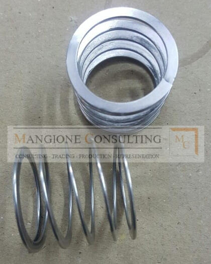 Flat Spring Flachfeder Mangione Consulting